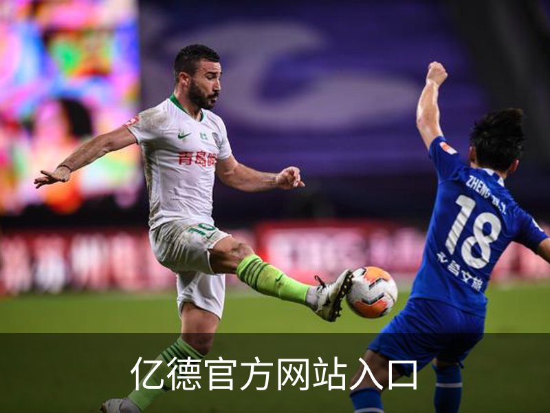 亿德官方网站入口简介